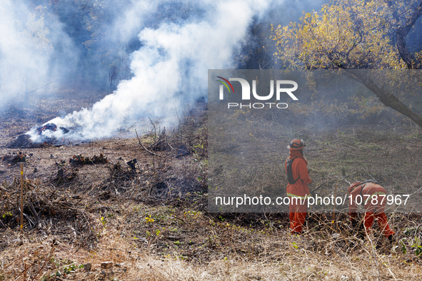 CalFire manages a prescribed controlled burn in Northern Calif. on Tuesday, November 14, 2023. Controlled burns are taking place across Cali...