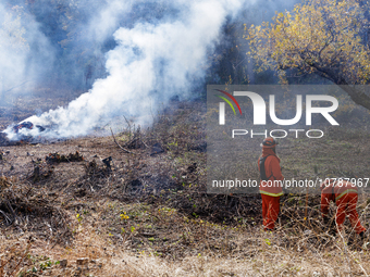 CalFire manages a prescribed controlled burn in Northern Calif. on Tuesday, November 14, 2023. Controlled burns are taking place across Cali...