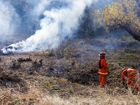 CalFire manages a prescribed controlled burn in Northern Calif. on Tuesday, November 14, 2023. Controlled burns are taking place across Cali...