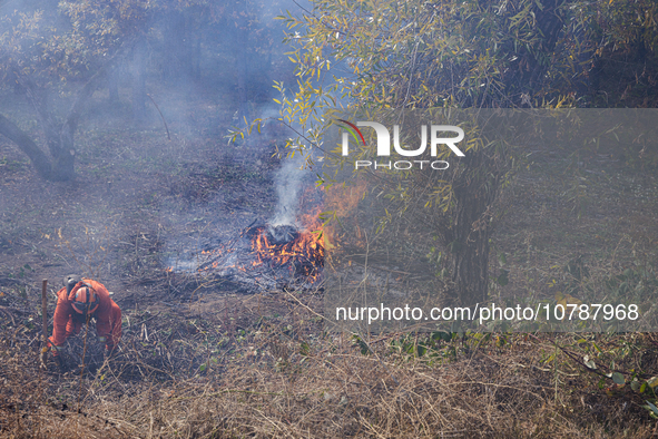 CalFire manages a prescribed controlled burn in Northern Calif. on Tuesday, November 14, 2023. Controlled burns are taking place across Cali...