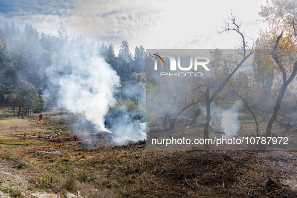 CalFire manages a prescribed controlled burn in Northern Calif. on Tuesday, November 14, 2023. Controlled burns are taking place across Cali...