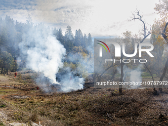 CalFire manages a prescribed controlled burn in Northern Calif. on Tuesday, November 14, 2023. Controlled burns are taking place across Cali...