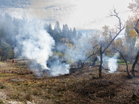 CalFire manages a prescribed controlled burn in Northern Calif. on Tuesday, November 14, 2023. Controlled burns are taking place across Cali...