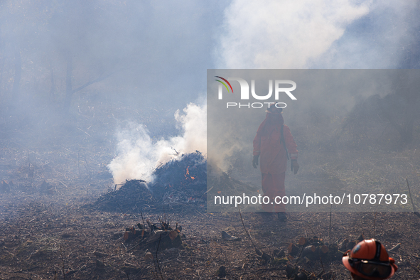 CalFire manages a prescribed controlled burn in Northern Calif. on Tuesday, November 14, 2023. Controlled burns are taking place across Cali...