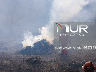 CalFire manages a prescribed controlled burn in Northern Calif. on Tuesday, November 14, 2023. Controlled burns are taking place across Cali...