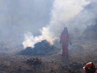 CalFire manages a prescribed controlled burn in Northern Calif. on Tuesday, November 14, 2023. Controlled burns are taking place across Cali...