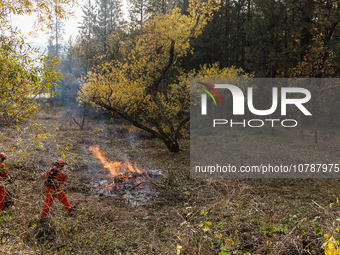 CalFire manages a prescribed controlled burn in Northern Calif. on Tuesday, November 14, 2023. Controlled burns are taking place across Cali...