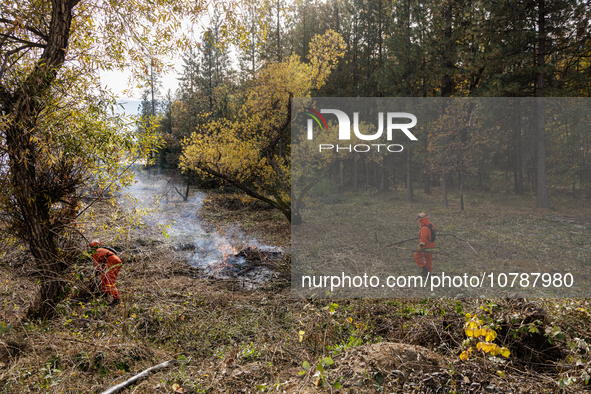 CalFire manages a prescribed controlled burn in Northern Calif. on Tuesday, November 14, 2023. Controlled burns are taking place across Cali...