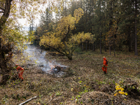 CalFire manages a prescribed controlled burn in Northern Calif. on Tuesday, November 14, 2023. Controlled burns are taking place across Cali...