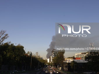 View of fire from Parque Lira in the shoe market in Tepito, Mexico City. (