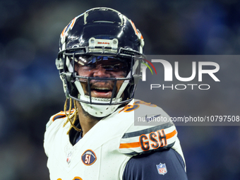 Chicago Bears defensive tackle Zacch Pickens (96) looks down the field ahead of an NFL  football game between the Detroit Lions and the Chic...