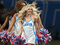 A member of the Detroit Lions cheer squad performs ahead of an NFL  football game between the Detroit Lions and the Chicago Bears in Detroit...