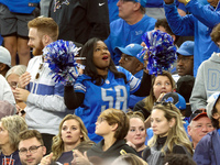 A fan celebrates in the stands after a touchdown and successful kick for the extra point during  an NFL  football game between the Detroit L...