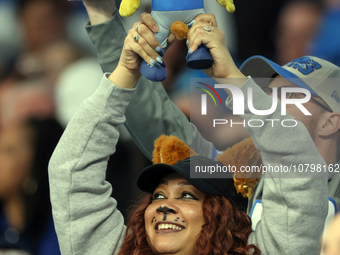 A fan holds up a stuffed lion during the Cub Cam during  an NFL  football game between the Detroit Lions and the Chicago Bears in Detroit, M...