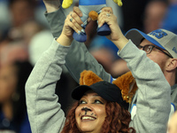 A fan holds up a stuffed lion during the Cub Cam during  an NFL  football game between the Detroit Lions and the Chicago Bears in Detroit, M...