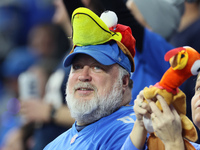 A fan with Lions gear and a turkey hat follows the game during  an NFL  football game between the Detroit Lions and the Chicago Bears in Det...