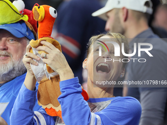 A fan holds up a stuffed toy turkey during  an NFL  football game between the Detroit Lions and the Chicago Bears in Detroit, Michigan USA,...