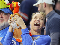 A fan holds up a stuffed toy turkey during  an NFL  football game between the Detroit Lions and the Chicago Bears in Detroit, Michigan USA,...