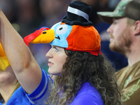 A fan wearing a turkey hat looks onto the field from the stands during  an NFL  football game between the Detroit Lions and the Chicago Bear...