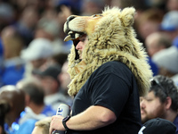 A fan wearing a Lion head watches the game during  an NFL  football game between the Detroit Lions and the Chicago Bears in Detroit, Michiga...