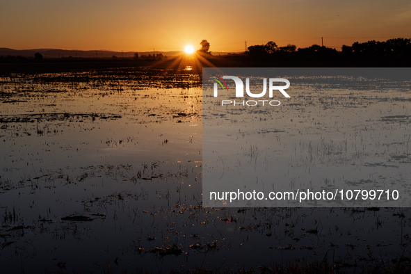 The sun rises over flooded California rice fields, during a storm break brought on by an atmospheric river near Marysville, Calif., on Sunda...