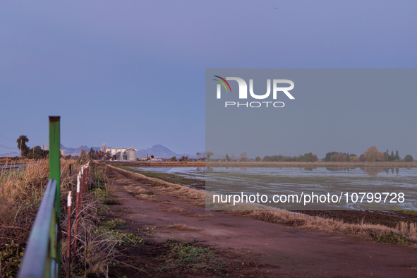 The sun rises over flooded California rice fields, during a storm break brought on by an atmospheric river near Marysville, Calif., on Sunda...