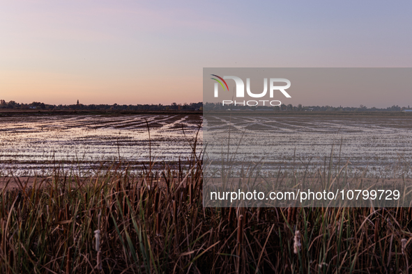 The sun rises over flooded California rice fields, during a storm break brought on by an atmospheric river near Marysville, Calif., on Sunda...