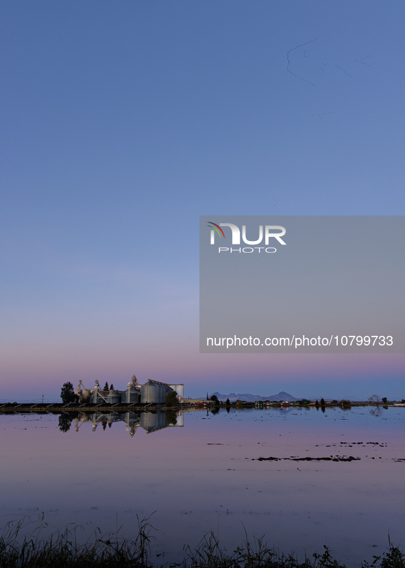 The sun rises over flooded California rice fields, during a storm break brought on by an atmospheric river near Marysville, Calif., on Sunda...