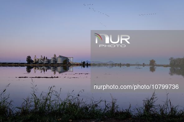 The sun rises over flooded California rice fields, during a storm break brought on by an atmospheric river near Marysville, Calif., on Sunda...