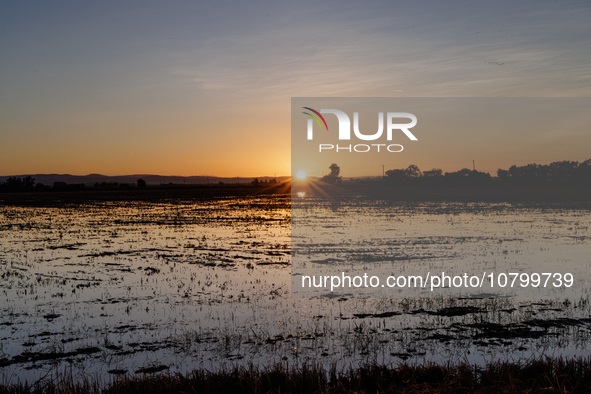 The sun rises over flooded California rice fields, during a storm break brought on by an atmospheric river near Marysville, Calif., on Sunda...