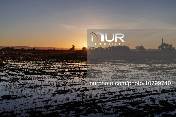 The sun rises over flooded California rice fields, during a storm break brought on by an atmospheric river near Marysville, Calif., on Sunda...