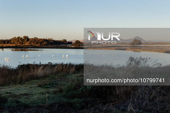 The sun rises over flooded California rice fields, during a storm break brought on by an atmospheric river near Marysville, Calif., on Sunda...