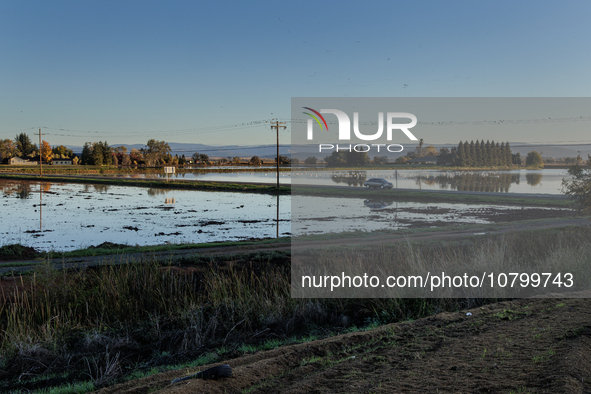 The sun rises over flooded California rice fields, during a storm break brought on by an atmospheric river near Marysville, Calif., on Sunda...