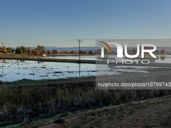 The sun rises over flooded California rice fields, during a storm break brought on by an atmospheric river near Marysville, Calif., on Sunda...