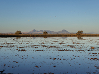 The sun rises over flooded California rice fields, during a storm break brought on by an atmospheric river near Marysville, Calif., on Sunda...