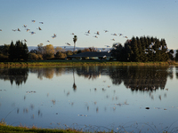 The sun rises over flooded California rice fields, during a storm break brought on by an atmospheric river near Marysville, Calif., on Sunda...