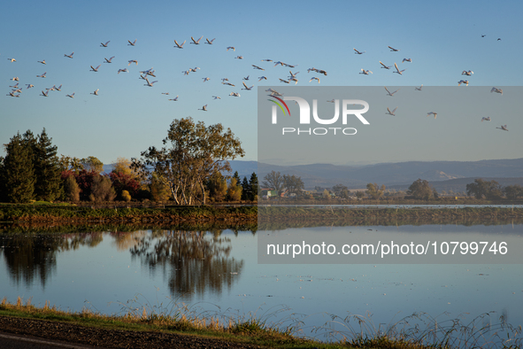 The sun rises over flooded California rice fields, during a storm break brought on by an atmospheric river near Marysville, Calif., on Sunda...