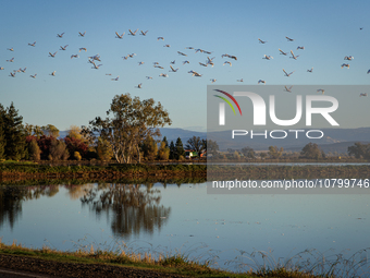 The sun rises over flooded California rice fields, during a storm break brought on by an atmospheric river near Marysville, Calif., on Sunda...