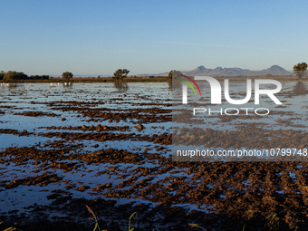 The sun rises over flooded California rice fields, during a storm break brought on by an atmospheric river near Marysville, Calif., on Sunda...