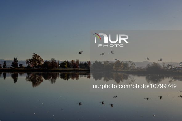 The sun rises over flooded California rice fields, during a storm break brought on by an atmospheric river near Marysville, Calif., on Sunda...