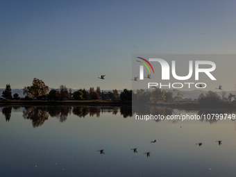 The sun rises over flooded California rice fields, during a storm break brought on by an atmospheric river near Marysville, Calif., on Sunda...