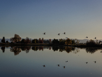 The sun rises over flooded California rice fields, during a storm break brought on by an atmospheric river near Marysville, Calif., on Sunda...