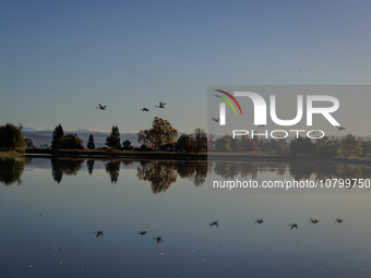 The sun rises over flooded California rice fields, during a storm break brought on by an atmospheric river near Marysville, Calif., on Sunda...