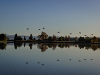 The sun rises over flooded California rice fields, during a storm break brought on by an atmospheric river near Marysville, Calif., on Sunda...