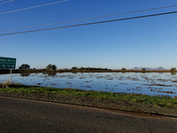 The sun rises over flooded California rice fields, during a storm break brought on by an atmospheric river near Marysville, Calif., on Sunda...