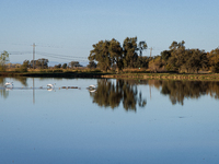 The sun rises over flooded California rice fields, during a storm break brought on by an atmospheric river near Marysville, Calif., on Sunda...