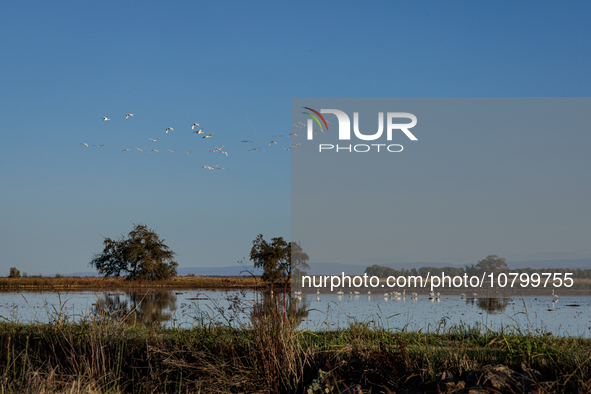 The sun rises over flooded California rice fields, during a storm break brought on by an atmospheric river near Marysville, Calif., on Sunda...