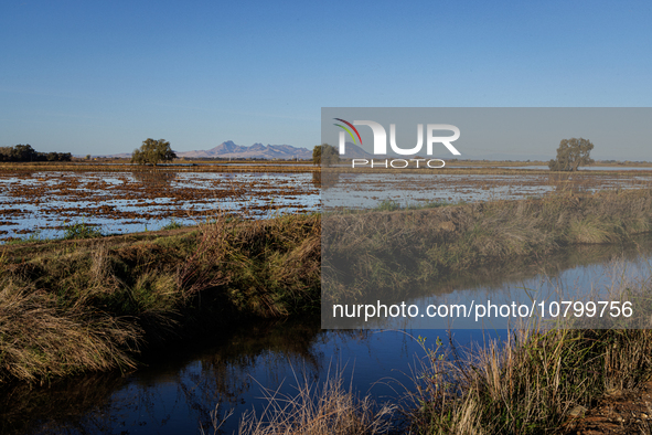 The sun rises over flooded California rice fields, during a storm break brought on by an atmospheric river near Marysville, Calif., on Sunda...