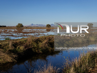 The sun rises over flooded California rice fields, during a storm break brought on by an atmospheric river near Marysville, Calif., on Sunda...