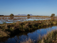 The sun rises over flooded California rice fields, during a storm break brought on by an atmospheric river near Marysville, Calif., on Sunda...